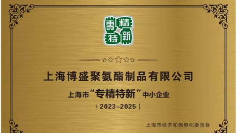 公司营收突破8000万，被上海市经济和信息化委员会评定为&ldquo;专精特新&rdquo;中小企业，公司制定和实施&ldquo;两化一增长&rdquo;的第一个五年计划。